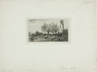 Landschaft, Weidenbäume