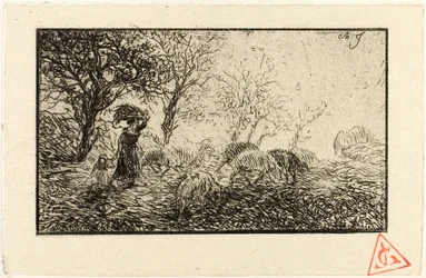 Landschaft und Tiere