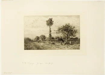 Landschaft mit kurviger Straße