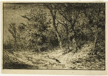 Straße am Waldrand
