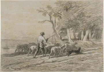 Hirte und seine Herde