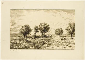 Weiden in einer Landschaft