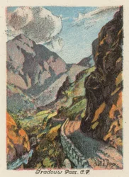 Südafrika: Tradouw Pass, CP