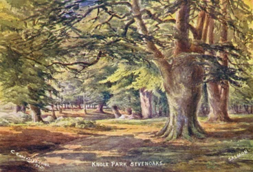 Knole House: Buchen im Park