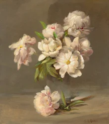 Pfingstrosen in einer Vase