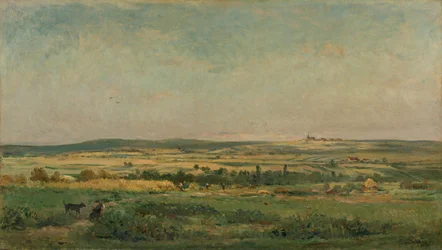 Getreideernte