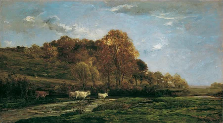Herbstliche Aulandschaft