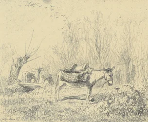 Der Esel auf der Wiese