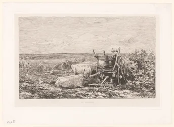 Landschaft mit ruhendem Vieh zwischen Weinreben