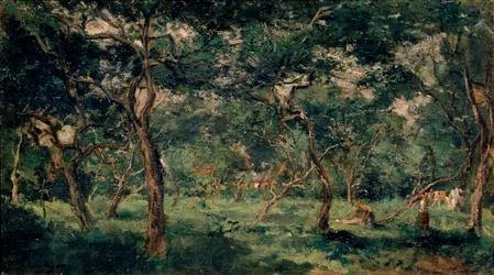 Olivenhain, frühe 1870er
