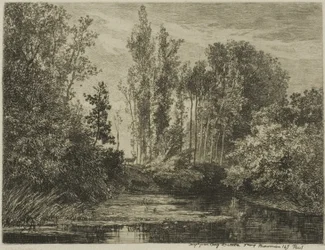 Hirsche am Wasserufer