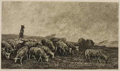Die Wache des Hundes