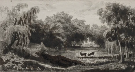 Der Teich mit Hirschen