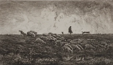 Der Regenschauer