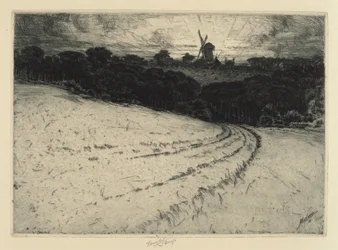 Morgen, Canonicut Island, 1908