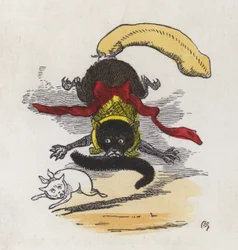 Kampf zwischen zwei Katzen