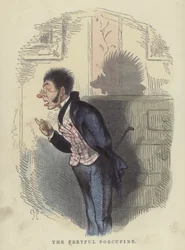 Das reizbare Stachelschwein