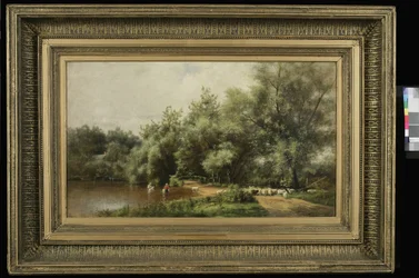 Schafwäsche auf Long Island