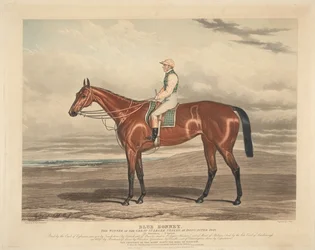 Pferderennen: Blue Bonnet. Die Siegerin der großen St. Leger Stakes in Doncaster 1842
