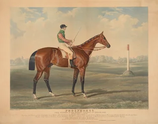 Pferderennen: „Phosphorus“, geritten von George Edwards, Sieger der Derby Stakes in Epsom, 1837