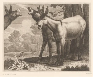 Balkende Esel, Dierenserie (Serientitel)