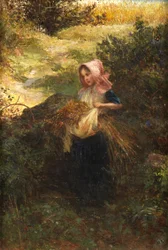 Frisch von der Wiese, 1863