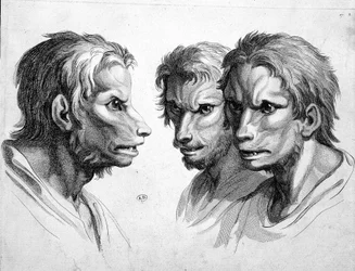 Drei Gesichter eines Werwolfs - von Le Brun