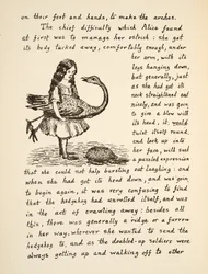 Alice hält ihren Strauß, Illustration aus Alice