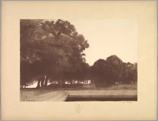 Suite von Landschaften: Landschaft, Platte 7, Remarque, Mohnblumen