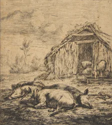 Drei Schweine vor einem Schuppen liegend, 1850