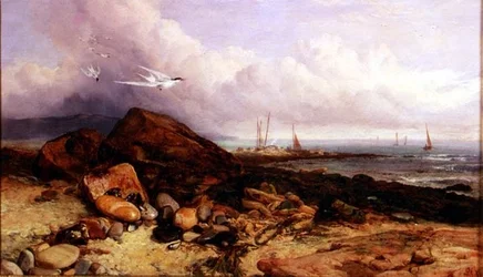 Küstenszene mit Fischerboot und Seeschwalben