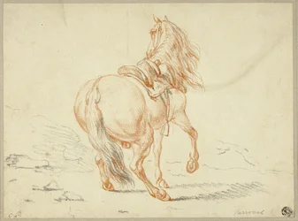 Reiterloses Pferd