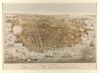 Die Stadt San Francisco - Vogel