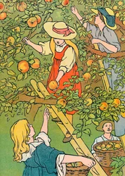Früchte pflücken, 1912