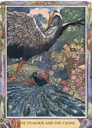 Der Pfau und der Kranich