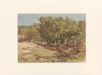 Ansicht von Beekhuizen, auf den Zijpenberg