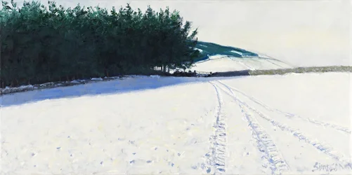 Dunkle Bäume & Schnee, 2011