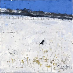 Winterkrähe, 2011