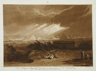 Die fünfte Plage Ägyptens