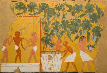 Weinherstellung, Grab des Ipuy