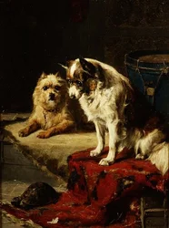 Hunde und eine Schildkröte