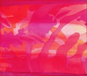 Maskarenen, 2000