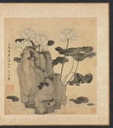 Lotus und Felsen