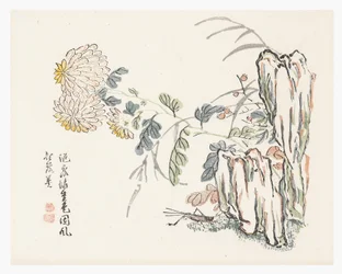 Chrysantheme, Mustard Seed Garden Manual