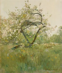 Pfirsichblüten, Villiers-le-Bel