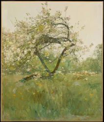 Pfirsichblüten—Villiers-le-Bel