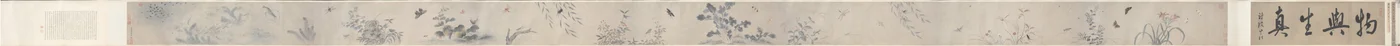Insekten und Blumen