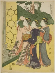 Kiyomizu, aus der Serie "Sieben Komachi"