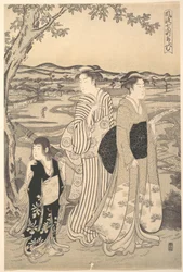 Papageien-Komachi