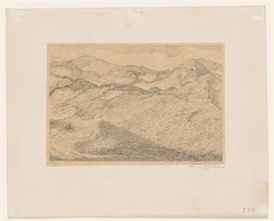 Dünenlandschaft